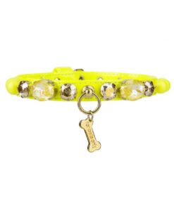 Candy store collar yellow For pets only